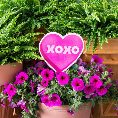 Mini XOXO Heart Garden Stake